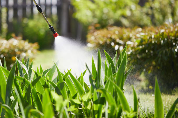 Tamper-Resistant Bait Stations for Rodents in Lambert