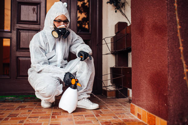 Attic and Crawl Space Rodent Treatment in Lambert